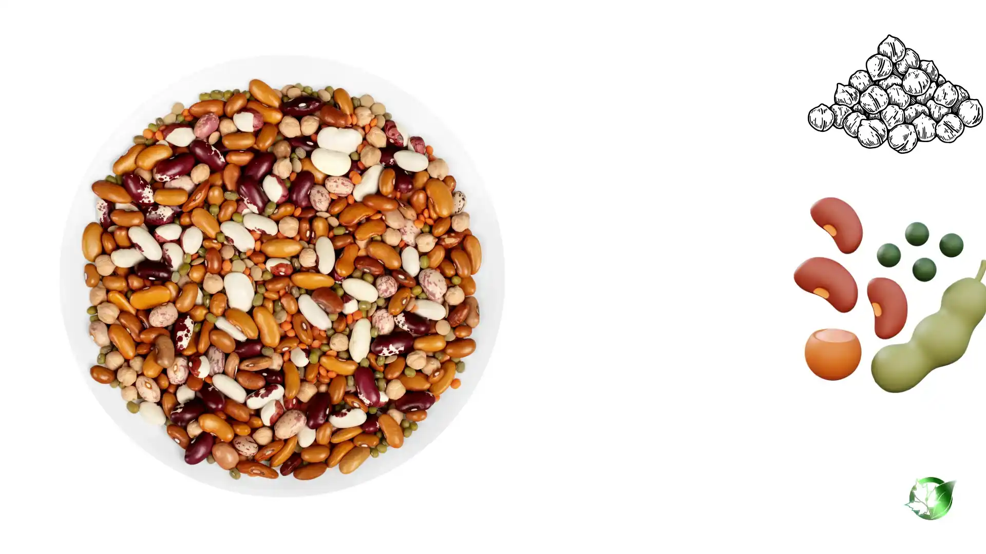 Legumes & Pulses quality, format, and packaging should be matched to the buyer’s target application.